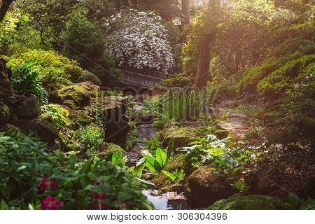 Beautiful Garden With Blooming Trees During Spring Time, Wales, Uk