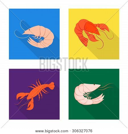 Vector Design Of Appetizer And Seafood Icon. Set Of Appetizer And Ocean Vector Icon For Stock.