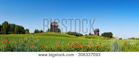 Rural Landscape With Historical Windmills Behind Wheet Field In Spring With Orange Poppy Flowers In 