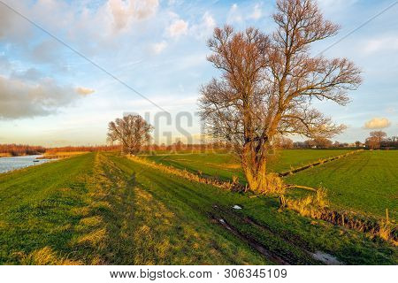 The Golden Glow Of The Setting Sun Shines Over A Dutch Nature Reserve. The Photo Was Taken At The En
