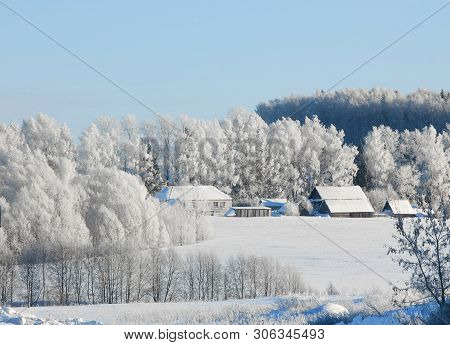 Rural Landscape In Winter Sunny Frosty Day