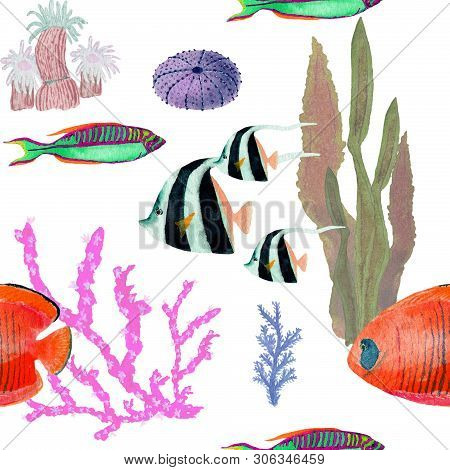 Hand drawn seamless pattern in watercolor sea world natural element. Corals shells fish on rose background