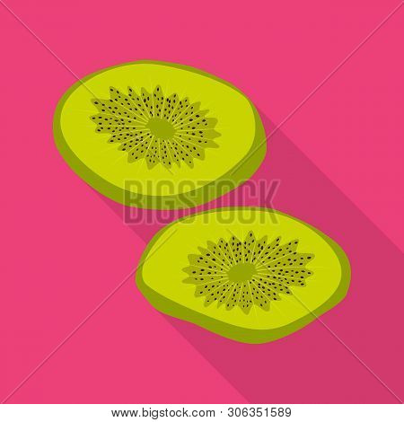 Vector Design Of Kiwi  And Dry Icon. Set Of Kiwi  And Cut  Vector Icon For Stock.