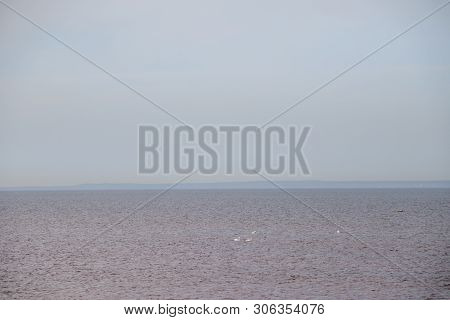 The Gulf Of Finland . Summer Sea In Clear Windless Weather. Sea Without Waves.