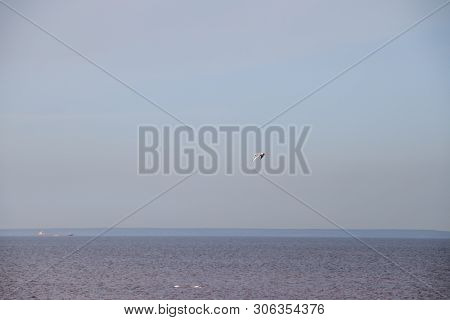 The Gulf Of Finland . Summer Sea In Clear Windless Weather. Sea Without Waves.