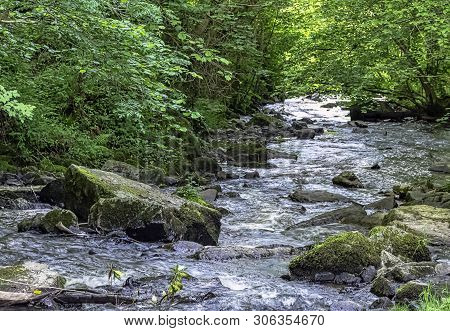 Cance / Cançon River - Le Neufbourg, Normandy, France