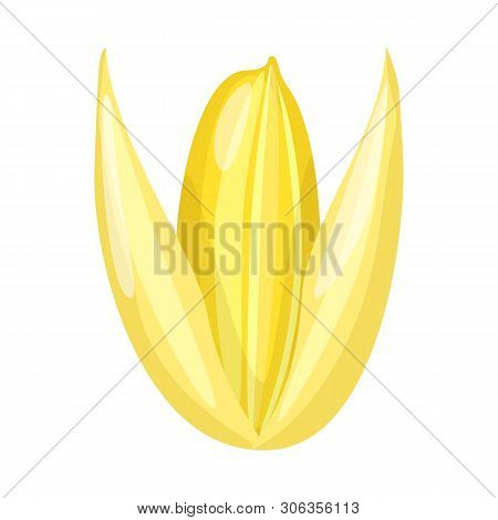 Vector Illustration Of Grain And Rice Logo. Set Of Grain And Seed  Vector Icon For Stock.