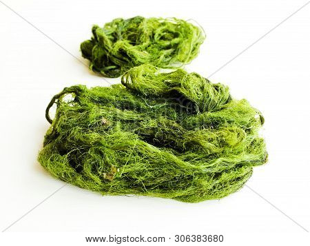 River Algae On White