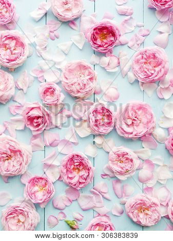 Tea Rose Background