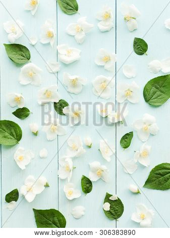 Jasmine On Wood