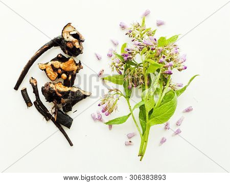 Comfrey On White