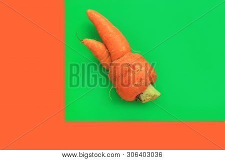 Ugly Food. Deformed Organic Carrot On Pastel Background In Green And Orange Duoton. Bright Contrast 
