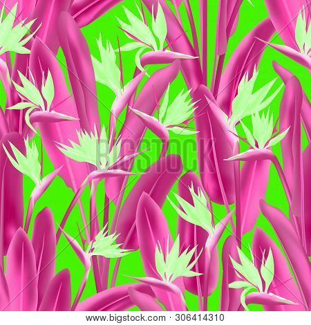 Tropical Crane Flower Vector Seamless Pattern. Jungle Plant Paradise Tropical Summer Fabric Design. 