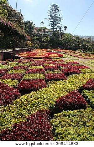 Botanical Garden In Funchal Madeira Island Portugalia