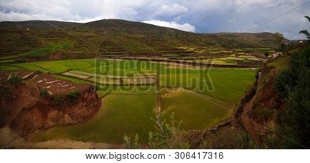 Landscape With The Rice Fields And Onive River At Antanifotsy In Madagascar