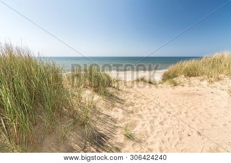 Beach Grass In Dune Landscape With Beach And Ocean In The Background