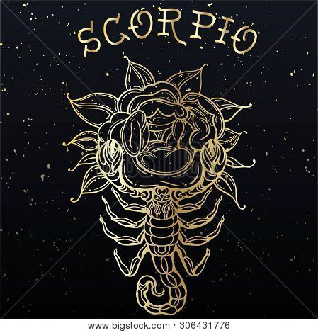 Beautiful Line Art Filigree Zodiac Symbol. Black Sign On Vintage Background. Vector Clipart. Elegant