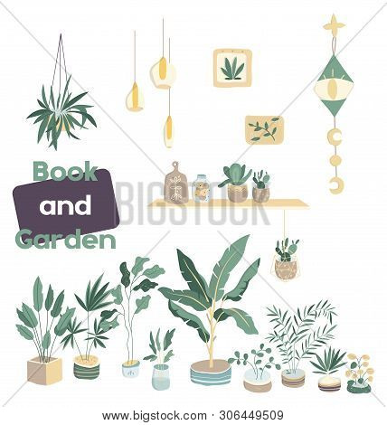 House Plants. Flowerpot Isolated Objects, Houseplant Flower Pot Collection. Home Garden Clip Art Ill