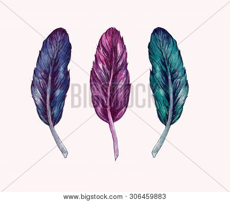 Hand Drawn Watercolor Paintings Vibrant Feather Set.