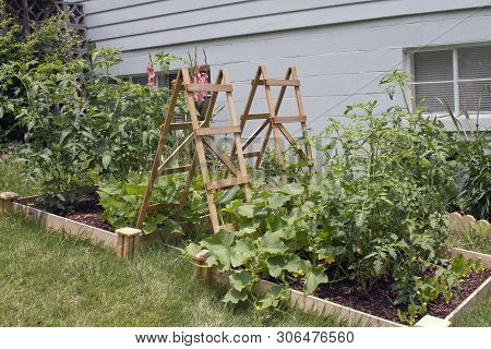 Dual Thriving Outdoor Image Photo Free Trial Stock Dual Thriving Outdoor Image Photo