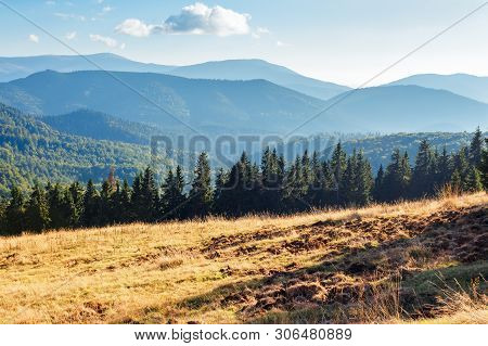 Evening Landscape In Apuseni Mountains. Weathered Grass On The Meadow In Golden Evening Light. Row O