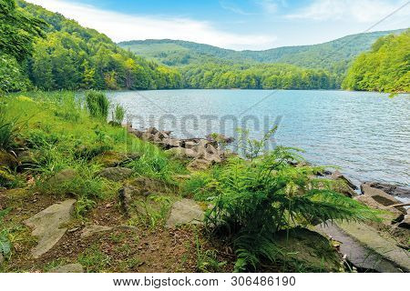 Vihorlat Lake Slovakia. Body Of Water Among Beech Forest In Mountains. Popular Destination In Easter