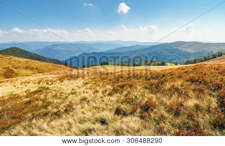 Meadows  Of The Carpathian Krasna Ridge. Wonderful Sunny Scenery With Fluffy Clouds On The Horizon. 