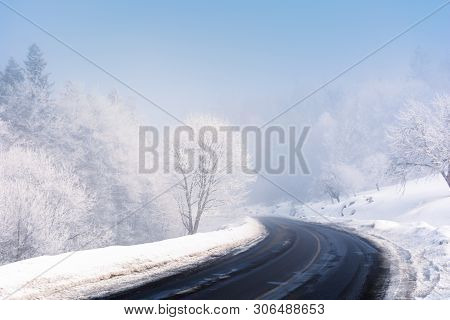 Road Turn In To The Forest In Winter. Amazing Foggy Weather. Trees In Hoarfrost. Roadside Covered Wi
