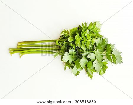 Lovage On White