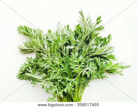 Sagebrush On White Wooden Background. Shallow Dof.