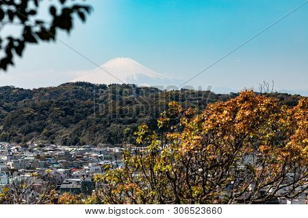 Panorama Of Kamakura City. Japanese Landscape. View Of Mount Fuji. View From The Park To Kamakura