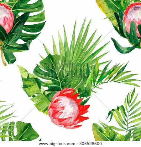 Watercolor Exzotic Print, Leaves Palm And Protea Flowers. Pattern With Tropical Plants Isolated On W