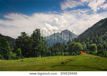 Alpine Meadows Of Avadhara Abkhazia Georgia Travel Nature Mountains Summer Vacation