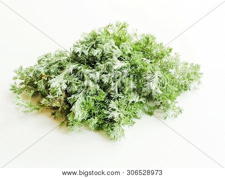 Sagebrush On White