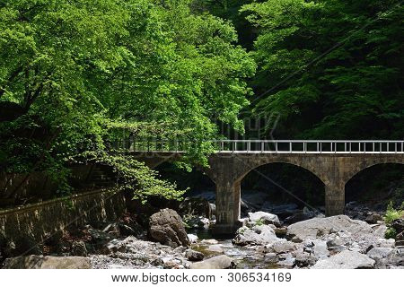 North Korean Scenery. Branches Of Trees With Bright Green Foliage Over A Mountain Stream And Stone B