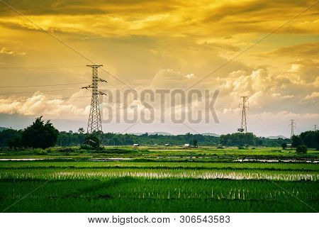 Landscape Green Rice Field With Electric Pole High Voltage And Mountian Sunset Background