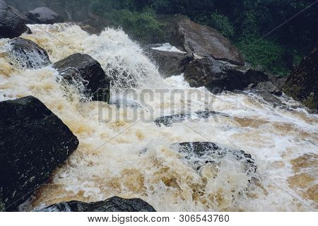 Water Flood On River After Heavy Rain Rapids Water Flow Copiously From Mountain Stream In The Forest