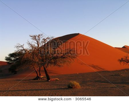 Namibia