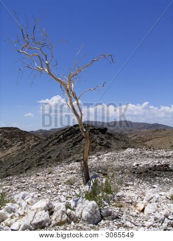 Namibie
