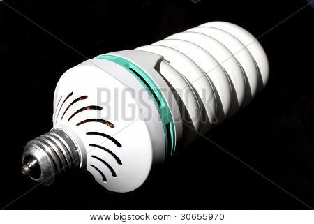 gewickelten Daylightt Zwiebel