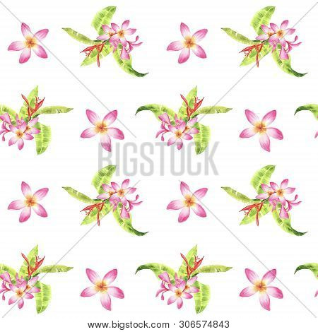 Hand Drawn Watercolor Floral Tropical Seamless Pattern With Green Monstera Leaves And Pink Plumeria 