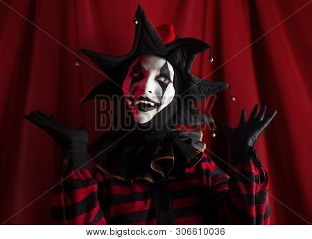 Cute Cheerful And Surprised Jester Showing Performance On The Stage.