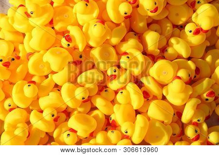 close up large group of yellow plastic toy ducks