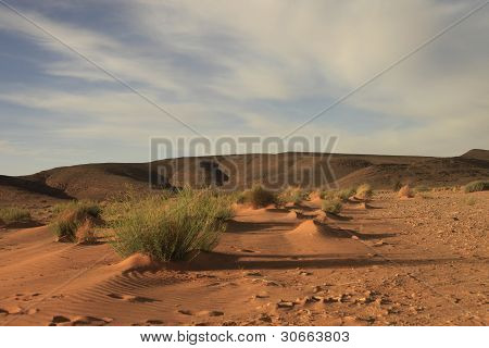 Maroc tatlı