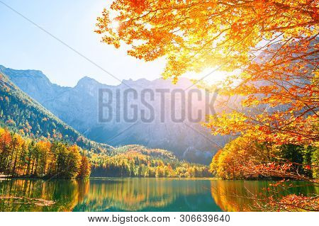 Autumn Trees On The Shore Of Hinterer Langbathsee Lake In Alps Mountains, Austria. Beautiful Autumn 