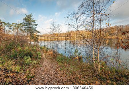 Narrow Sandy Path Along The Lakei N A Dutch Nature Reserve. It Is Autumn Now. On The Floor Are Many 