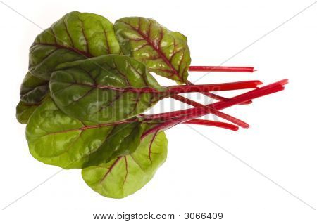 Frisches Gemüse - Spinat-Zuckerrüben