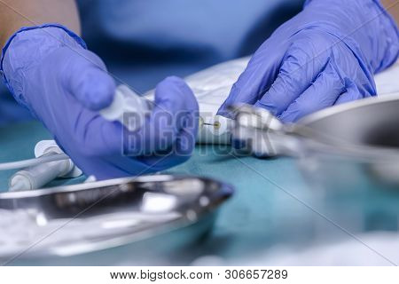 Nurse Preparing Medication For Parenteral Nutrition In A Hospital, Conceptual Image