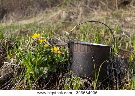 The Pot Blackened By Soot Lies On The Grass Near The Yellow Flowers