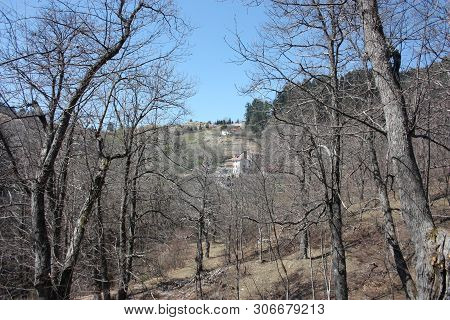 Spring Panorama Of Careggine, Dry Soil And Bare Trees. The Land Is Dry And The Bush Displaced Also I